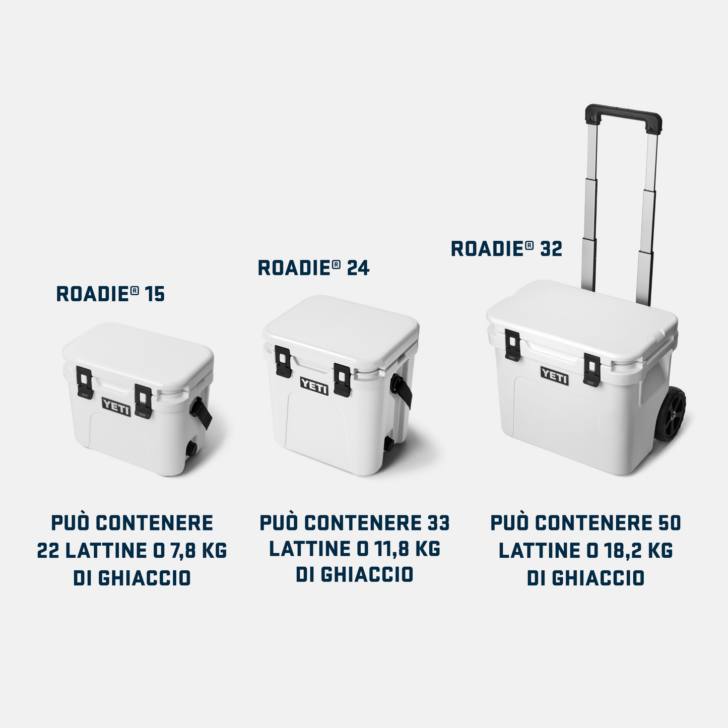 Roadie® Ghiacciaia 24 2.0